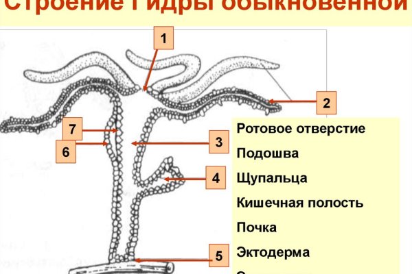 Как найти кракен шоп