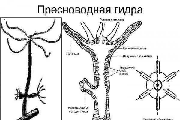 Kraken зайти на сайт