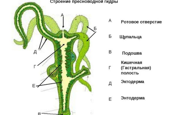 Кракен современный даркнет